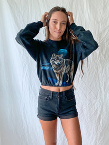 Vintage Cropped Sweatshirt