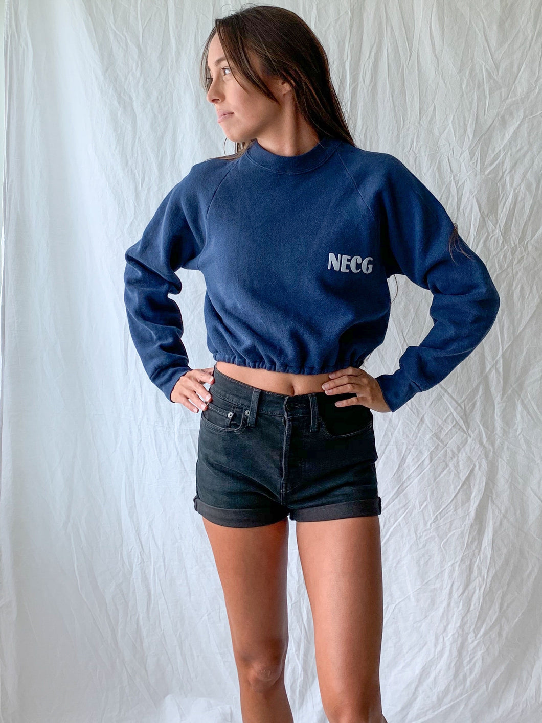 Vintage Cropped Sweatshirt